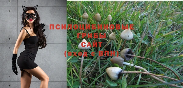 ALPHA-PVP Абинск
