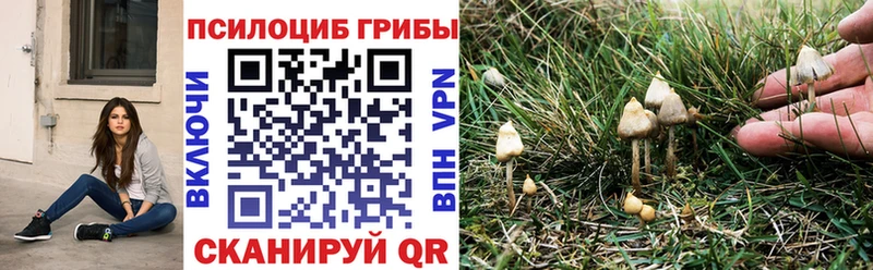 где купить наркотик Костомукша Галлюциногенные грибы Cubensis